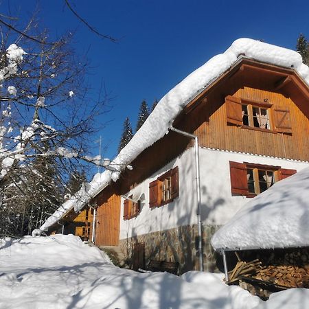 Pohorje House 2 Four Appartmetns Oplotnica Εξωτερικό φωτογραφία