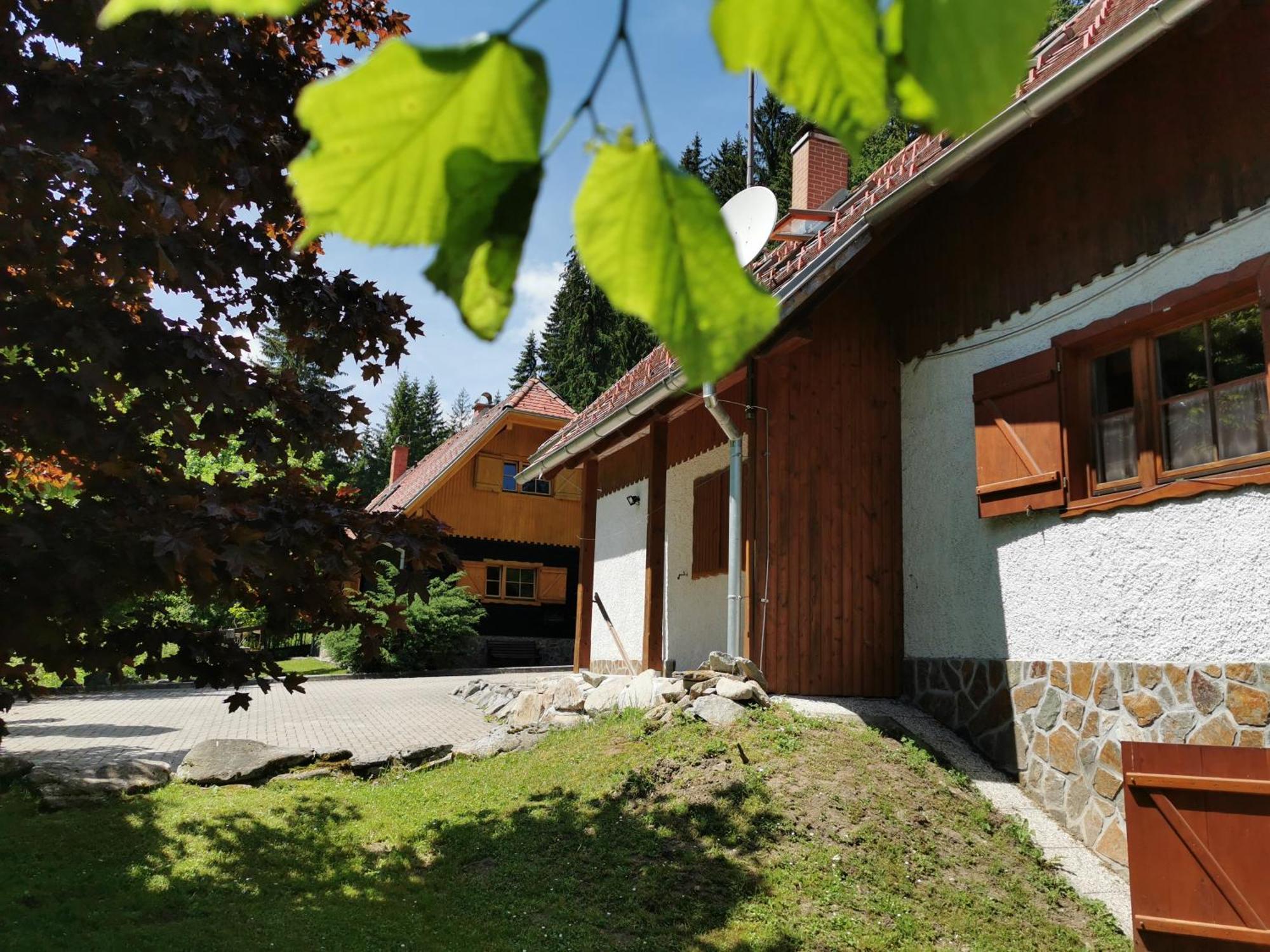 Pohorje House 2 Four Appartmetns Oplotnica Δωμάτιο φωτογραφία