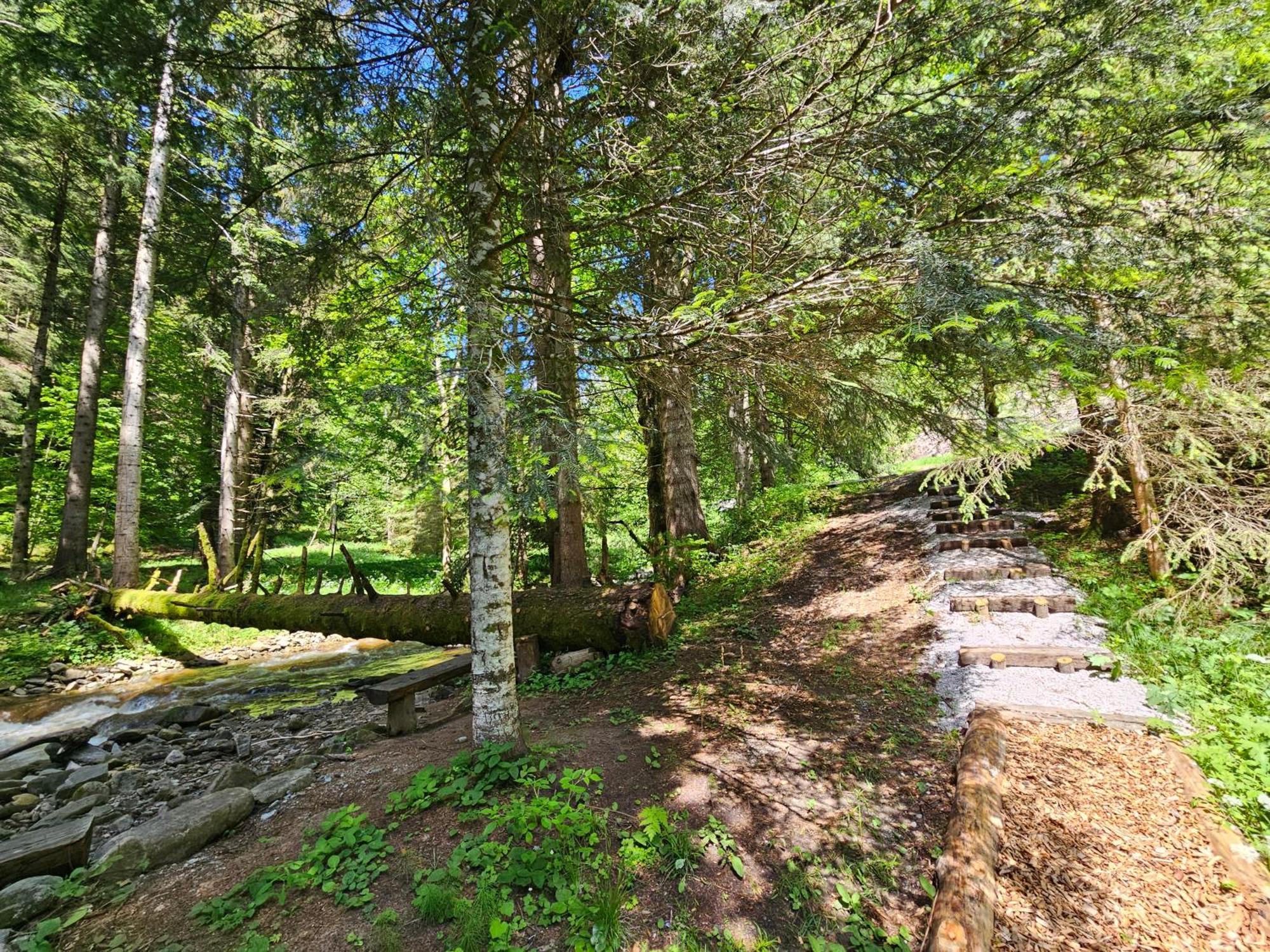 Pohorje House 2 Four Appartmetns Oplotnica Εξωτερικό φωτογραφία