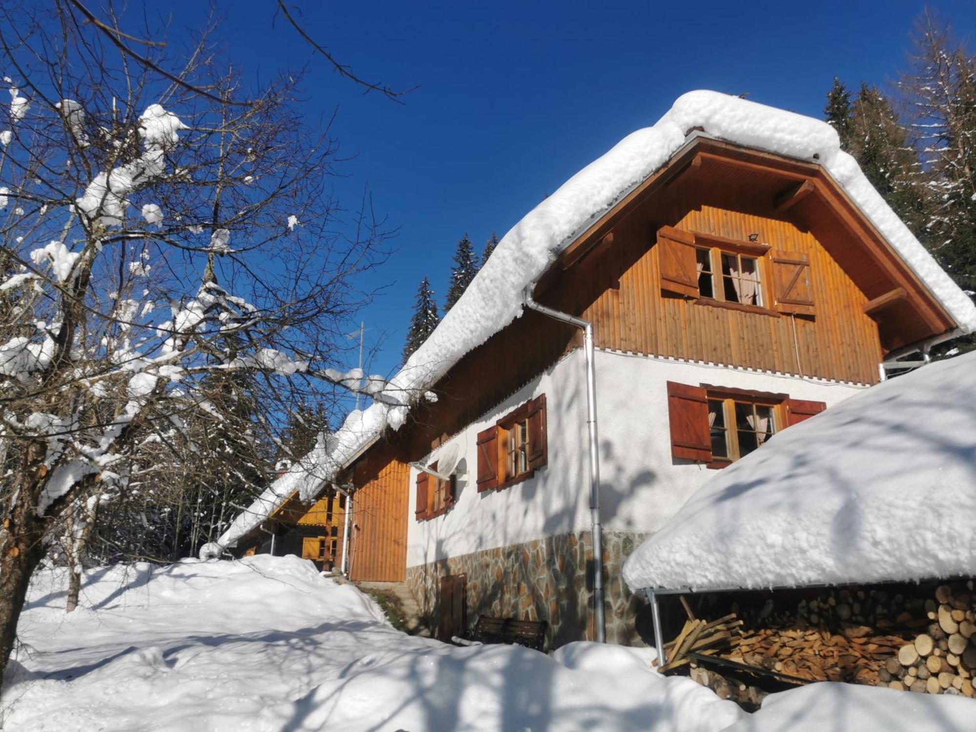 Pohorje House 2 Four Appartmetns Oplotnica Εξωτερικό φωτογραφία