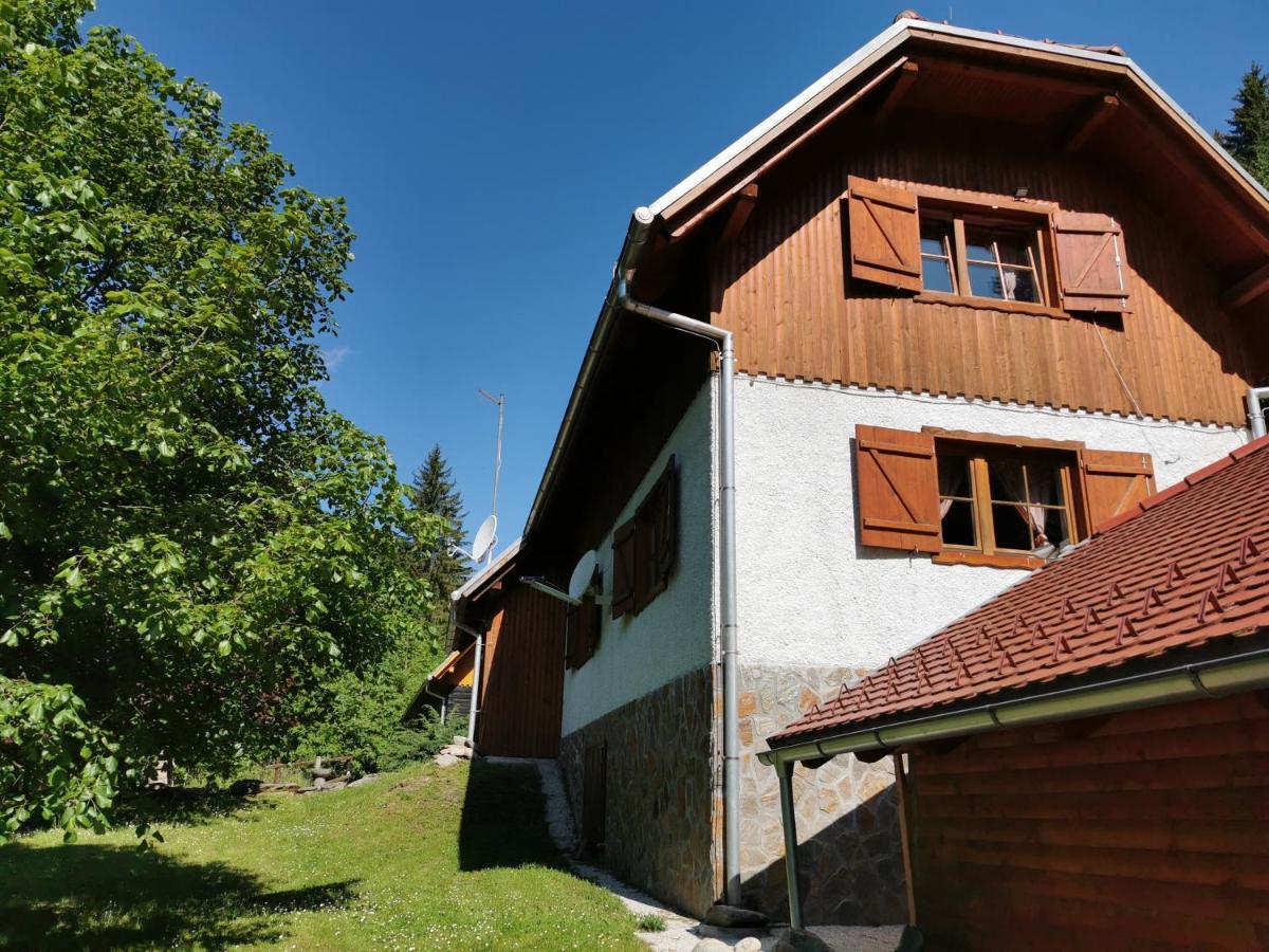 Pohorje House 2 Four Appartmetns Oplotnica Εξωτερικό φωτογραφία